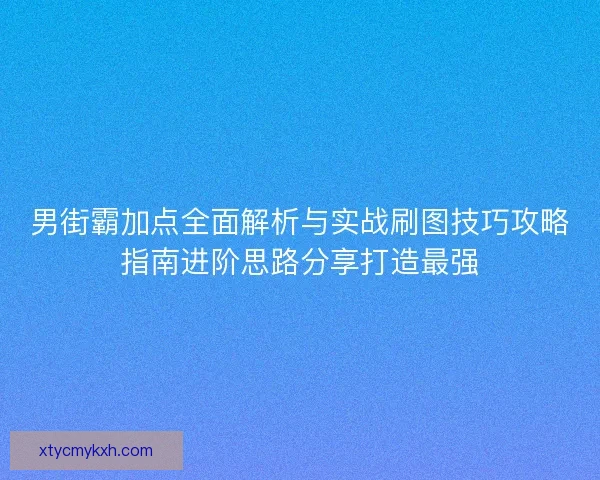 男街霸加点全面解析与实战刷图技巧攻略指南进阶思路分享打造最强
